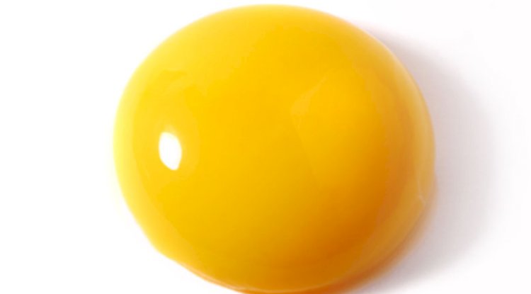 Are egg yolks bad for you?