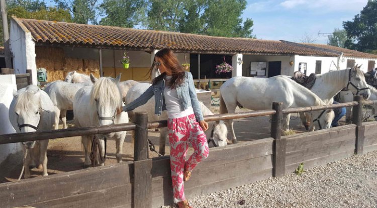 Horse riding in the Camargue